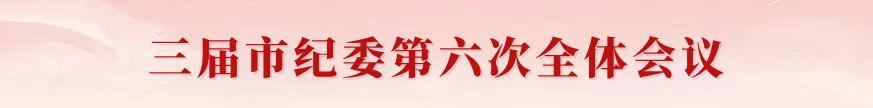 三届毕节市纪委第六次全体会议