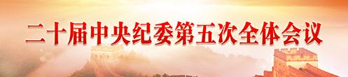 二十届中央纪委第五次全体会议